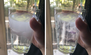 5 cách kiểm tra nguồn nước gia đình bạn sử dụng có an toàn hay không