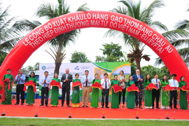 126 tấn gạo thơm sắp từ An Giang lên đường sang châu Âu