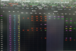 Hơn 100 cổ phiếu trên sàn không có ai mua, bán