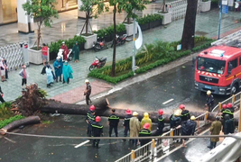 Cổ thụ bật gốc đè người đi xe máy ở TP.HCM