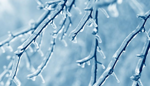 Nhờ rét mới biết vợ có bồ