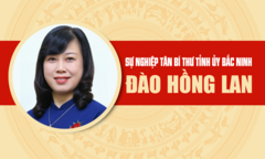 Infographic: Sự nghiệp tân Bí thư Tỉnh ủy Bắc Ninh Đào Hồng Lan