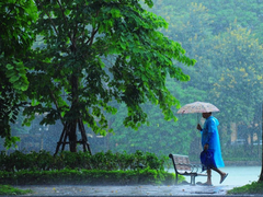 Thời tiết ngày 29/9: Bắc Bộ mưa rào, trời mát mẻ