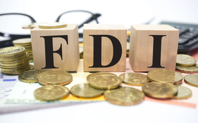 Việt Nam phải tối ưu hóa sử dụng FDI, không nhất thiết thu hút nhiều vốn FDI