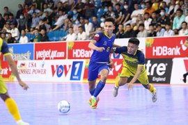 Trực tiếp Futsal HDBank VĐQG 2020: Cao Bằng vs Quảng Nam
