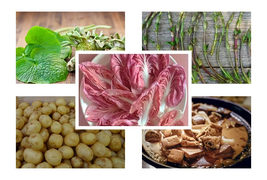 5 loại rau củ đắt hơn vàng