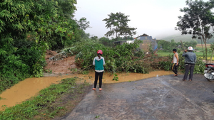 Mưa lớn gây sạt lở đất ở Đắk Nông, quốc lộ 28 ách tắc giao thông