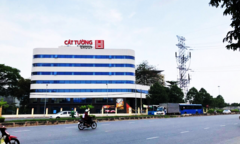 Cát Tường Group thao túng đấu giá, dìm giá đất tại Long An?