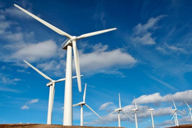 Tạm dừng xem xét thẩm định bổ sung quy hoạch các dự án điện gió