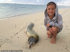 Cá nóc phình thân tự vệ, lươn chết ngạt trong đau đớn