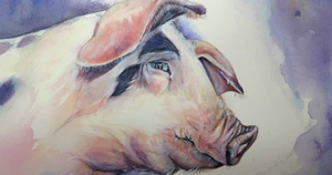 Tử vi hôm nay 9/10 của 12 con giáp: Tuổi Hợi gặp họa trong công việc