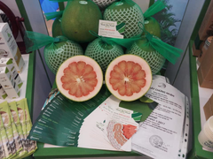 Bưởi da xanh của Bến Tre lần đầu xuất sang Canada