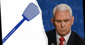 'Ăn theo' con ruồi trong tranh luận Phó Tổng thống, vỉ đập ruồi cháy hàng ở Mỹ