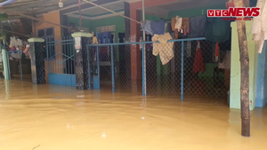 Video: Nhà ngập trong nước, phố biến thành sông tại Đà Nẵng