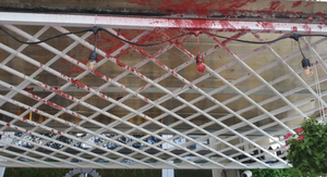 Truy tố người phụ nữ thuê 3 thiếu niên tạt sơn, ném mắm tôm vào quán cà phê