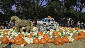 Độc đáo ngôi làng bí ngô cổ tích mùa lễ hội Halloween