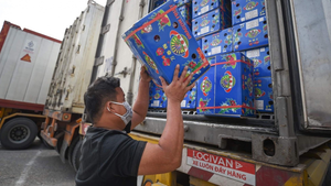 Xuất khẩu rau quả sụt giảm