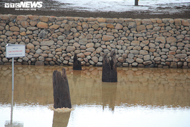 Khu bảo tồn bãi cọc Cao Quỳ ở Hải Phòng ‘lột xác’ sau gần 1 năm phát lộ