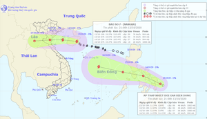 Bão số 7 đi, áp thấp nhiệt đới đến, miền Bắc mưa lớn 