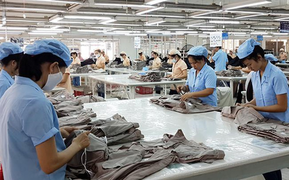 Thu ngân sách nhà nước 9 tháng đầu năm 2020 giảm mạnh