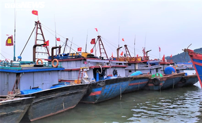Thanh Hóa, Nghệ An kêu gọi hơn 10.000 tàu thuyền về tránh trú bão