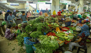 Sau mưa lũ, ngập lụt, rau xanh tại Đà Nẵng khan hiếm, tăng giá 