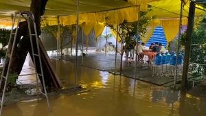 Clip: Đang chuẩn bị tang lễ, nhà Chủ tịch huyện Phong Điền bị lũ tràn vào