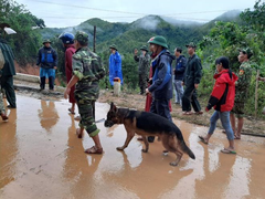 Danh tính 22 cán bộ, chiến sĩ Đoàn Kinh tế - Quốc phòng 337 bị vùi lấp