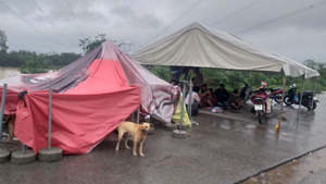 Mưa lớn kéo dài, dân Quảng Trị dựng lều bạt bên đường tránh lũ