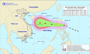 Các tỉnh từ Thanh Hóa đến Quảng Nam ứng phó bão Saudel