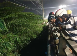 Hai thi thể nam giới nằm úp mặt dưới gầm cầu ở Bình Dương