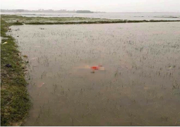 Tìm thấy thi thể bé gái 2 tuổi sau 2 ngày bị lũ cuốn trôi ở Hà Tĩnh