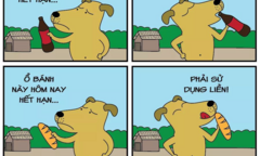 Bình chữa cháy 'hết hạn'