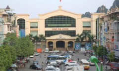 Bắt Trưởng Văn phòng đại diện Báo Nông thôn Ngày nay tại Quảng Ninh