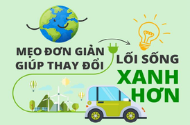 Infographic: 5 mẹo đơn giản để có lối sống xanh hơn