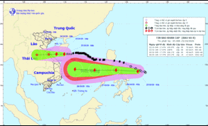 Bão số 8 đi vào các tỉnh Hà Tĩnh đến Quảng Trị, suy yếu thành áp thấp nhiệt đới