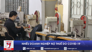 Tác động từ COVID-19 và thiên tai, nhiều doanh nghiệp nợ thuế