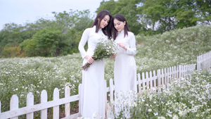 Thiếu nữ Hà thành tinh khôi bên cúc họa mi nở sớm