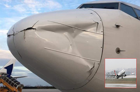 Máy bay bị móp động cơ nghi do va phải chim