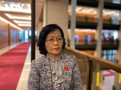 ĐBQH: Đường Hà Nội ngập rác, tiền đền bù cho dân xã Nam Sơn đang ở đâu?