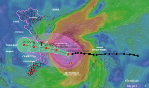 Bản tin khẩn cấp công tác ứng phó bão số 9