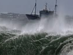 Video: Chưa biết số phận 3 tàu cá Bình Định mất tích trên biển giờ ra sao