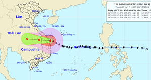 Video: Bão số 9 đổ bộ Quảng Nam - Quảng Ngãi