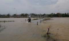 Truyền thông quốc tế: Người Việt tương thân tương ái trong bão lũ