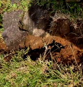 Núi nứt dài hơn 200 mét, hàng chục hộ dân huyện miền núi Quảng Trị di dời khẩn