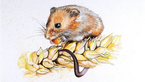 Tử vi 12 con giáp ngày 30/10: Tuổi Tý bị ganh ghét, coi chừng tiểu nhân hãm hại