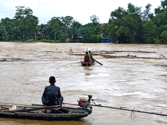 Bất chấp nguy hiểm, người Hà Tĩnh liều mình vớt củi trên sông Ngàn Phố