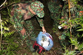 Video: Bộ đội biên phòng truy bắt nhóm đối tượng vận chuyển 30 bánh heroin