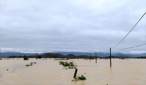 Nghệ An: Hơn 5.000 người bị cô lập, dân thiếu nước sạch, lương thực