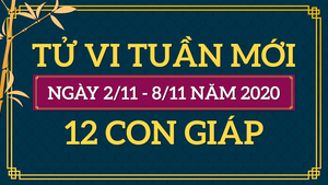 Tử vi tuần mới 2/11 - 8/11/2020 của 12 con giáp: Tuổi Dần sự nghiệp khởi sắc